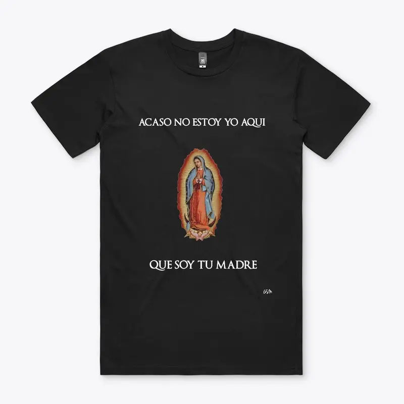 VIRGEN DE GUADALUPE