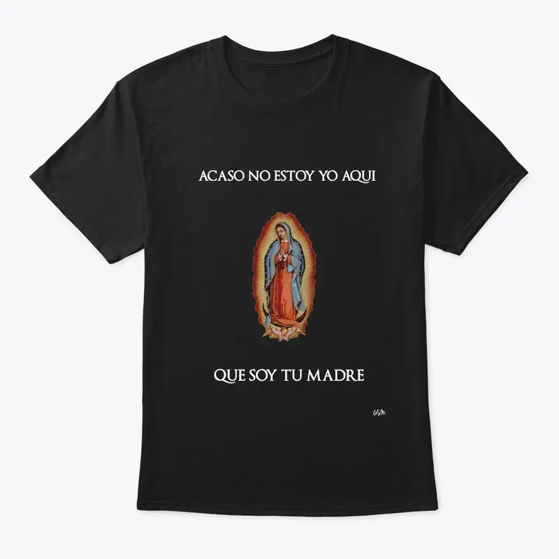 VIRGEN DE GUADALUPE